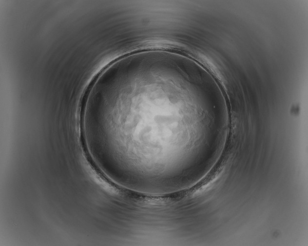 X0000091580843200708201206
