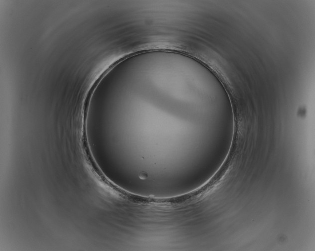 X0000091580844200708201206