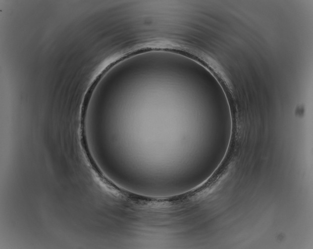 X0000091580845200708201206