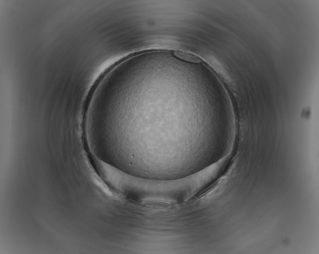 X0000091580846200708201206