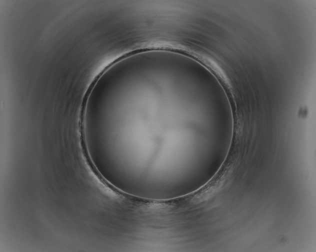 X0000091580847200708201206