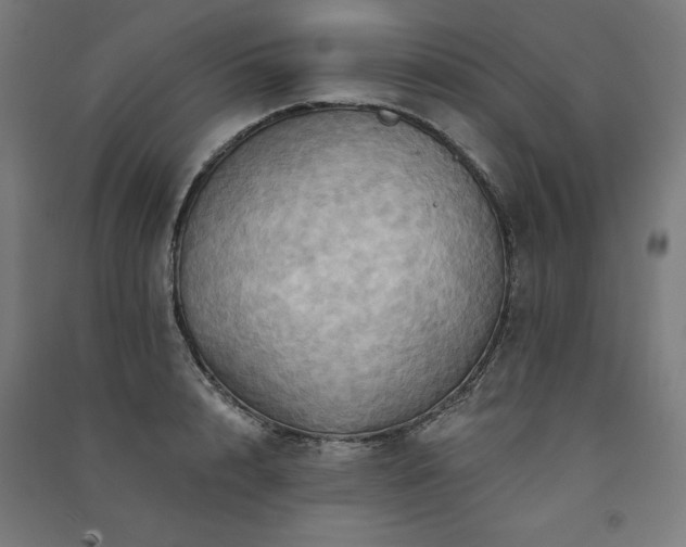 X0000091580848200708201206
