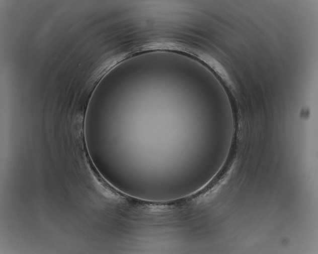 X0000091580849200708201206