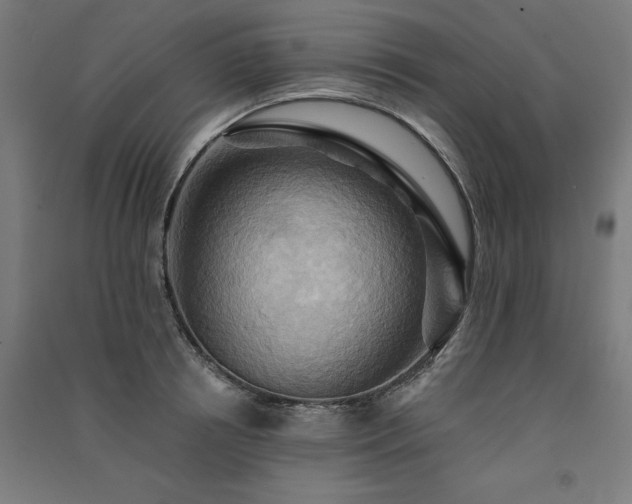 X0000091580850200708201206