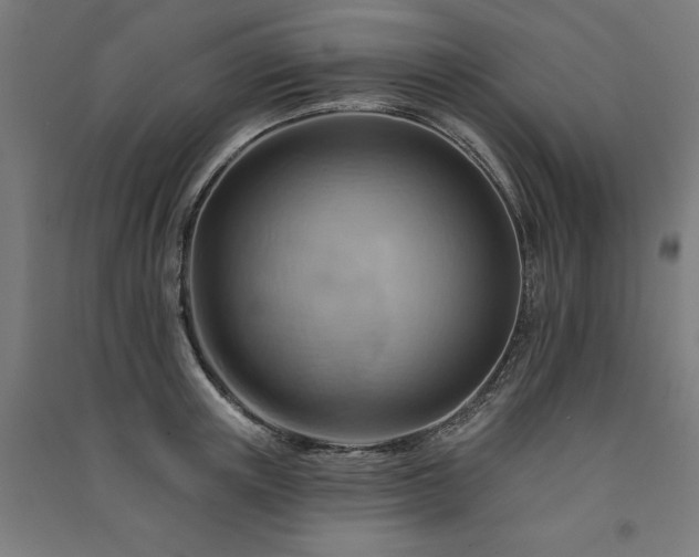 X0000091580851200708201206