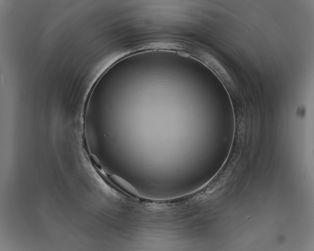 X0000091580852200708201206