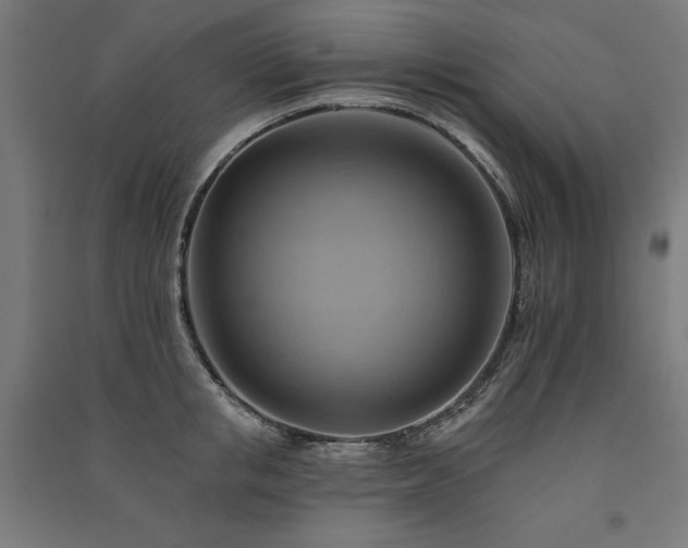 X0000091580853200708201206