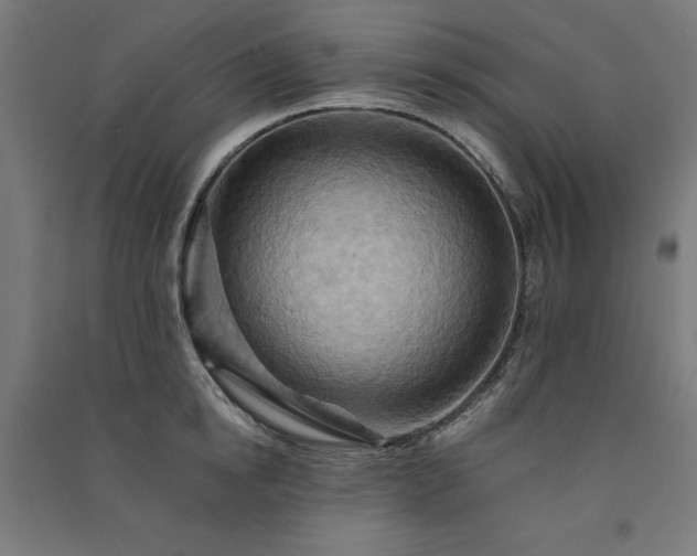X0000091580854200708201206