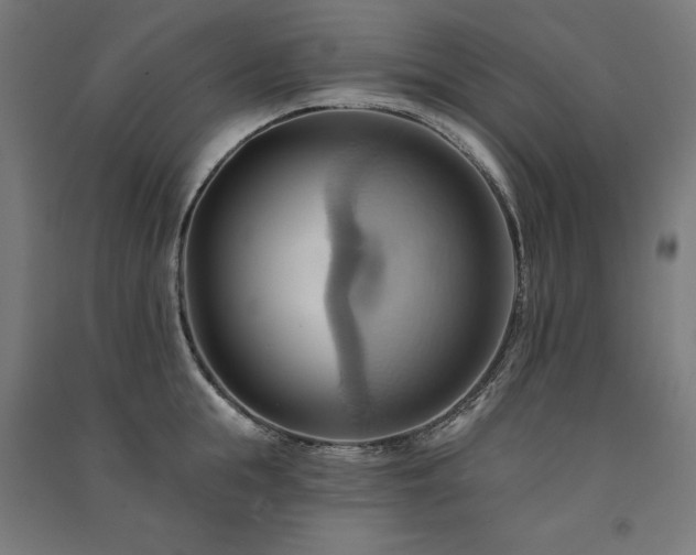 X0000091580855200708201206