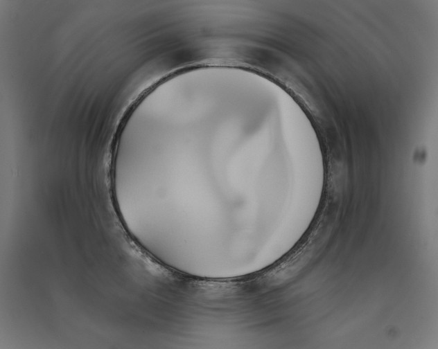 X0000091580856200708201206