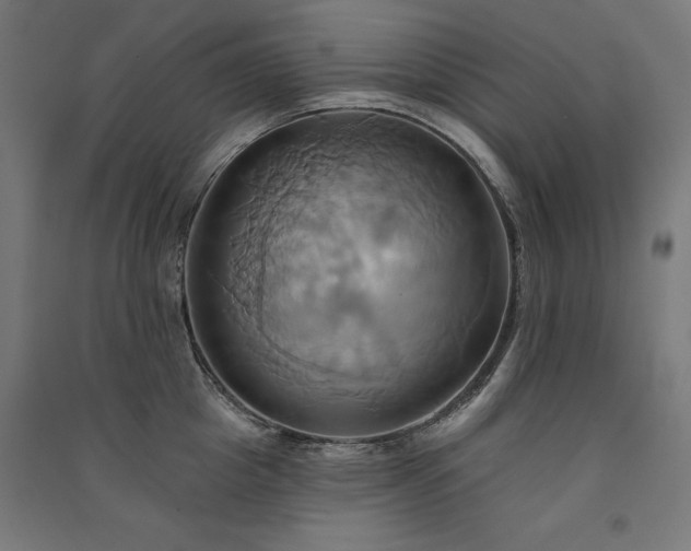 X0000091580857200708201206