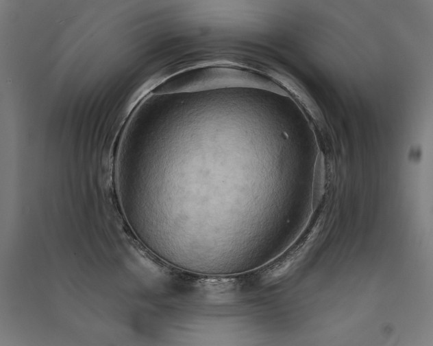 X0000091580858200708201206