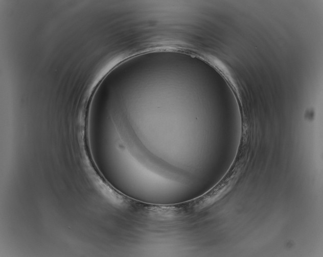 X0000091580859200708201206