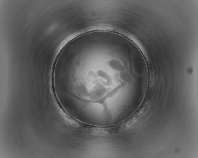 X0000091580861200708201206