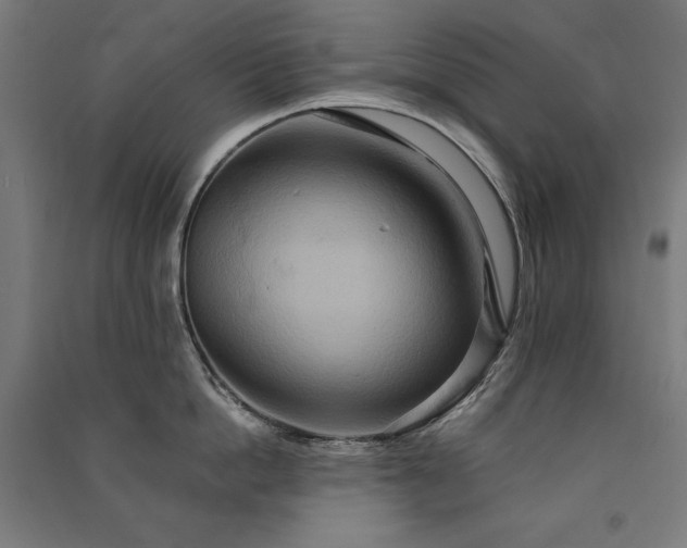 X0000091580862200708201206