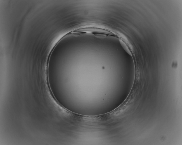 X0000091580863200708201206