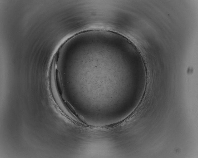 X0000091580864200708201206