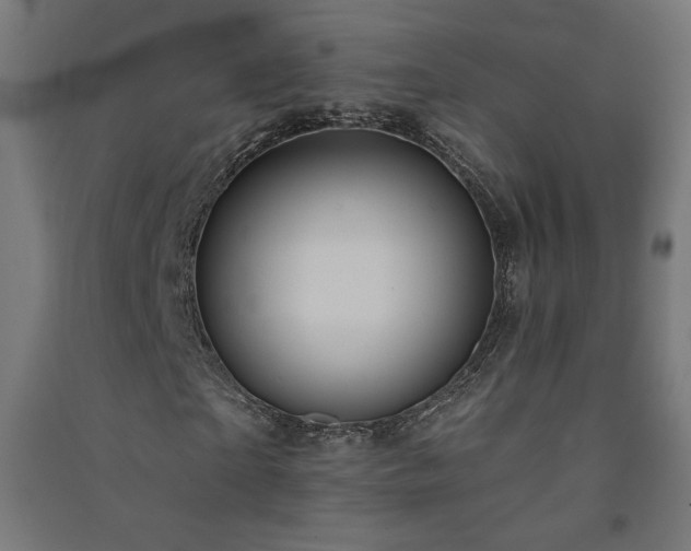 X0000091580865200708201205
