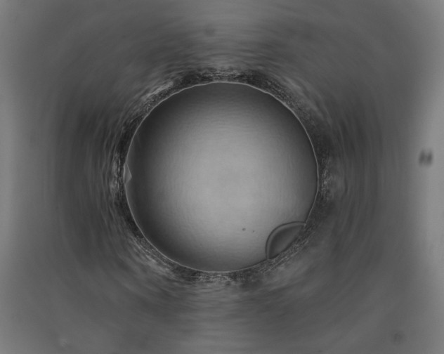 X0000091580866200708201205