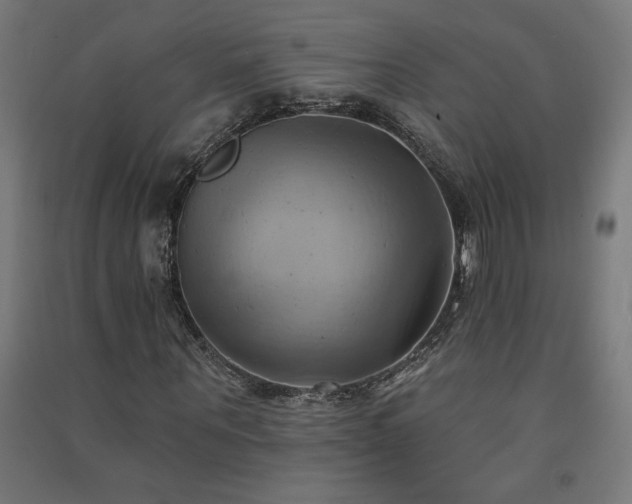 X0000091580867200708201205