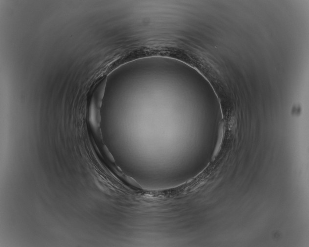 X0000091580868200708201205