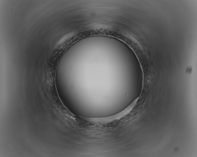 X0000091580869200708201205