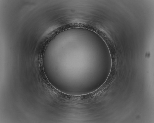X0000091580870200708201205