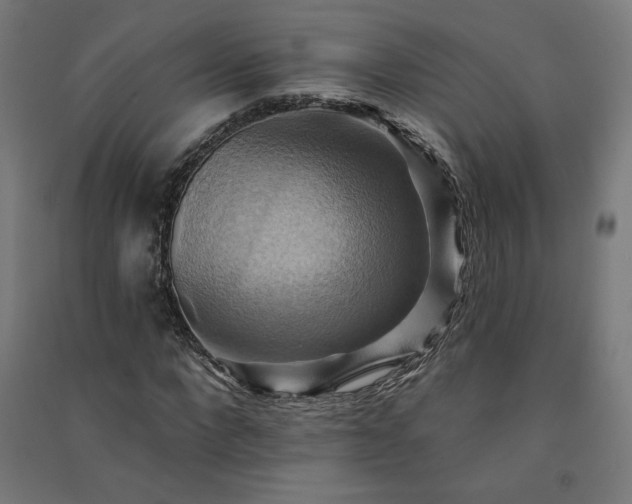 X0000091580872200708201205