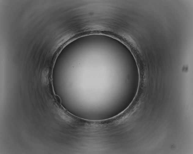 X0000091580873200708201205