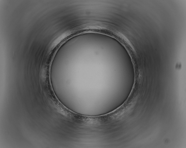 X0000091580874200708201205