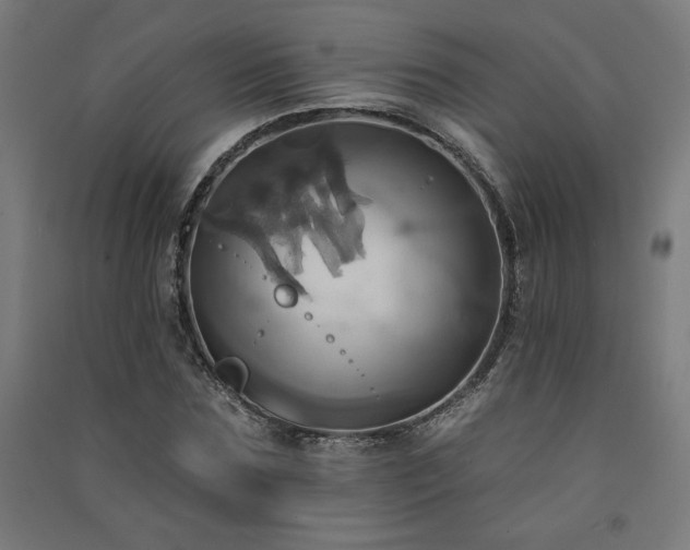 X0000091580875200708201205
