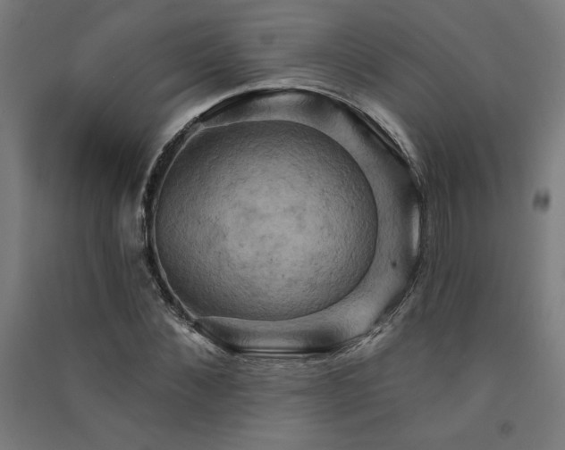 X0000091580876200708201205