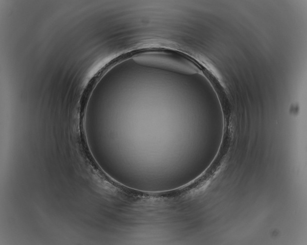 X0000091580877200708201205