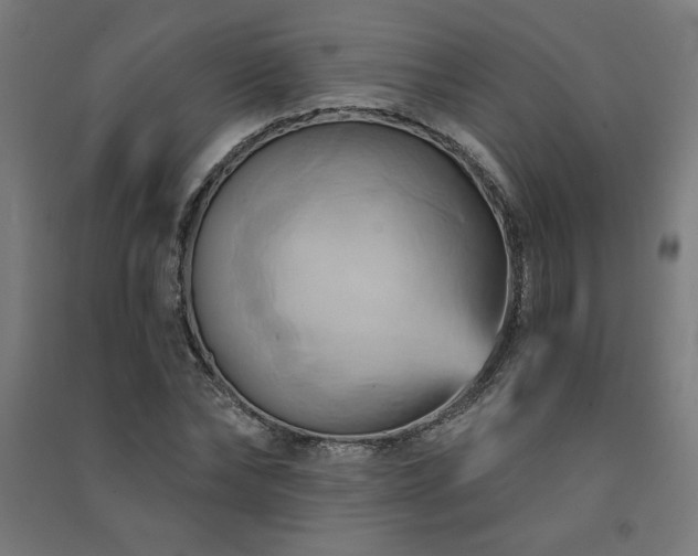 X0000091580878200708201205