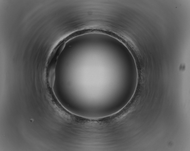 X0000091580880200708201205