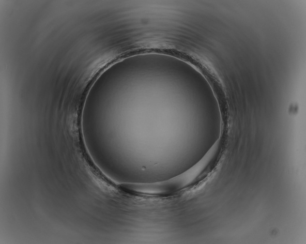 X0000091580881200708201205