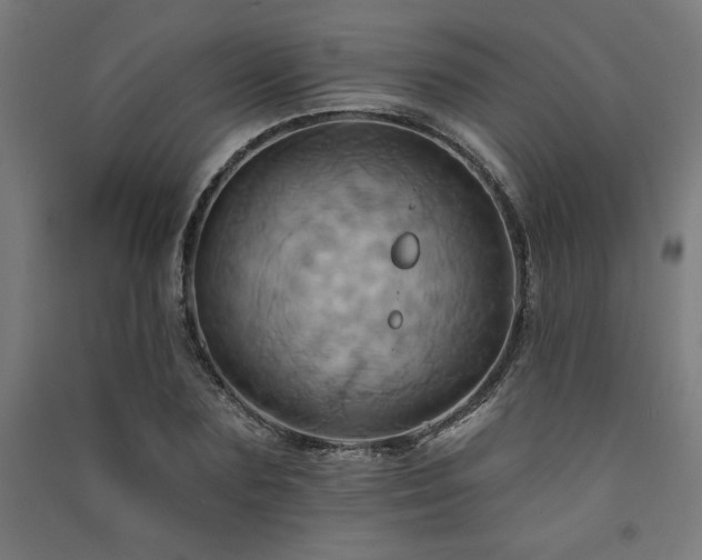 X0000091580883200708201205