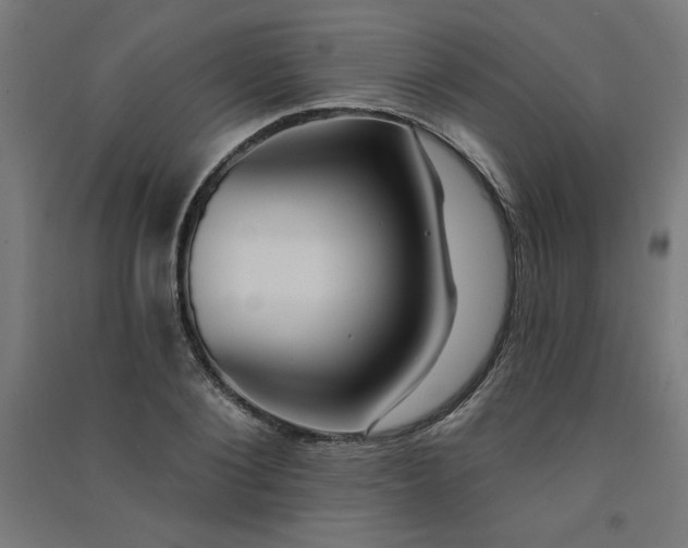 X0000091580884200708201205