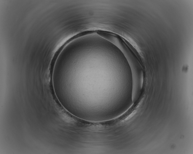 X0000091580885200708201205