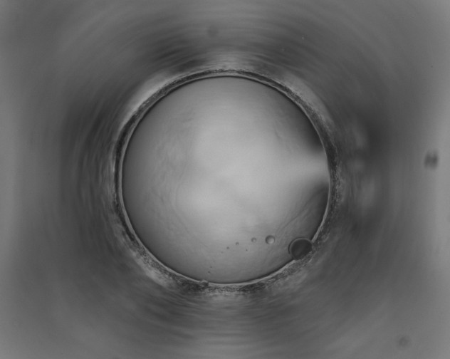 X0000091580886200708201205