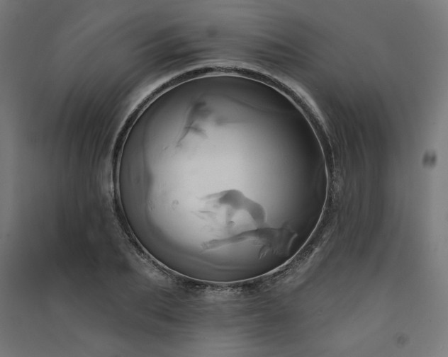 X0000091580887200708201205