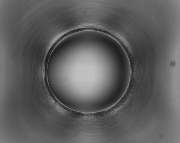X0000091580888200708201205