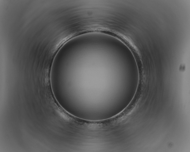 X0000091580889200708201205