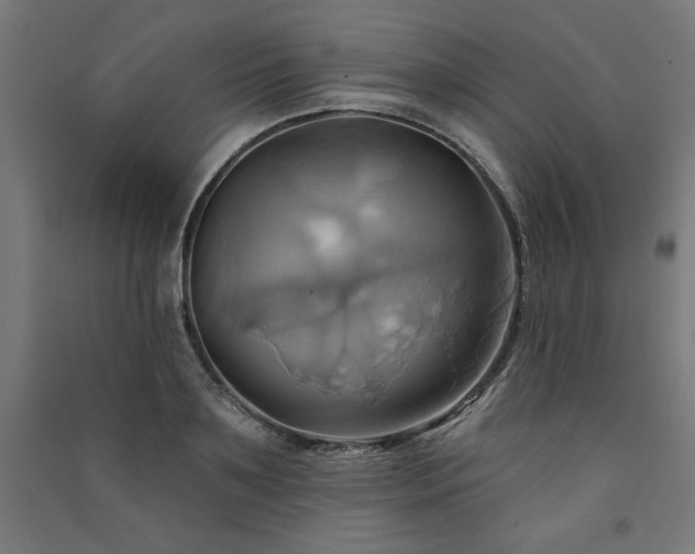 X0000091580891200708201205