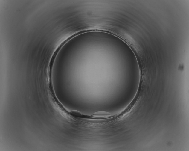 X0000091580892200708201205