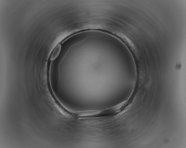 X0000091580894200708201205
