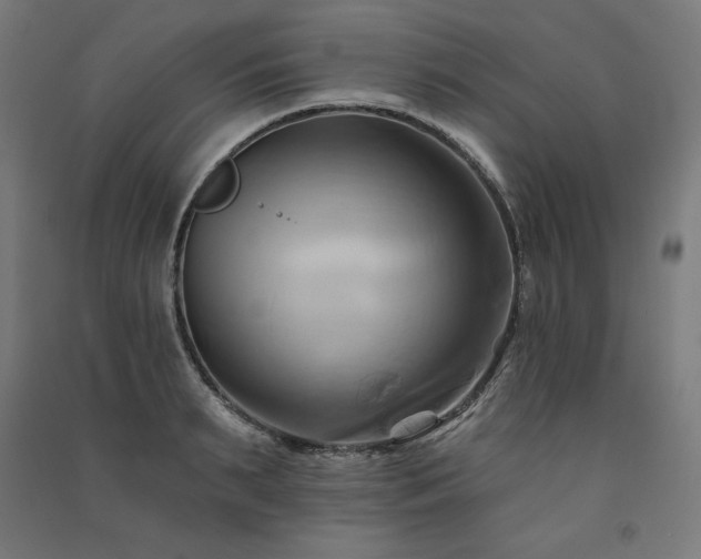 X0000091580895200708201205