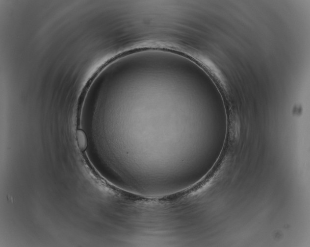 X0000091580896200708201205