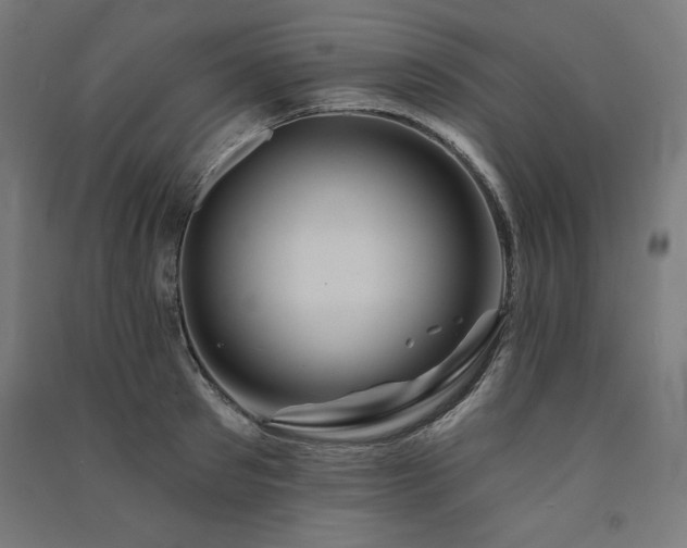 X0000091580897200708201205