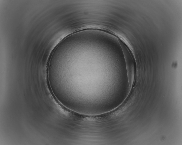 X0000091580898200708201205